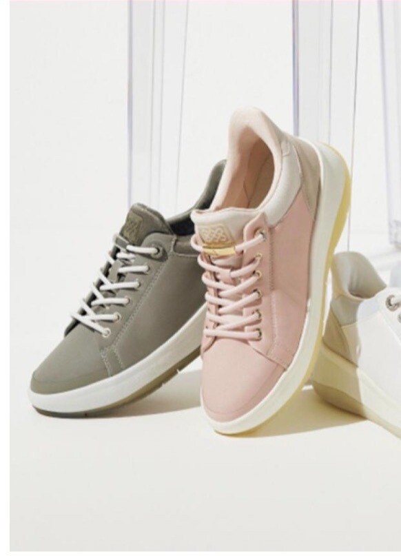 期間限定　SPECIAL　PRICE