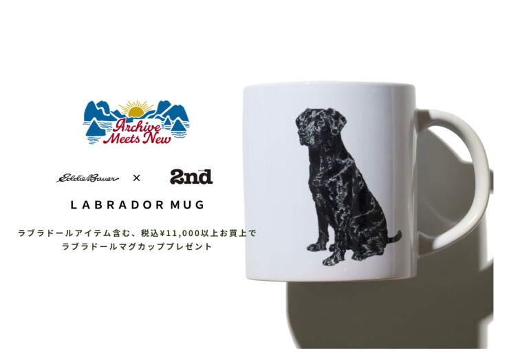 《エディー・バウアー》ファッション誌2ndとコラボ！ラブラドールコレクション！